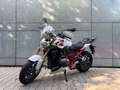 BMW R 1200 R Dynamik-Paket Bianco - thumbnail 2