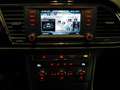 SEAT Leon Leon 5p 1.6 tdi cr Business Navi  Unico Propr. Nero - thumbnail 13