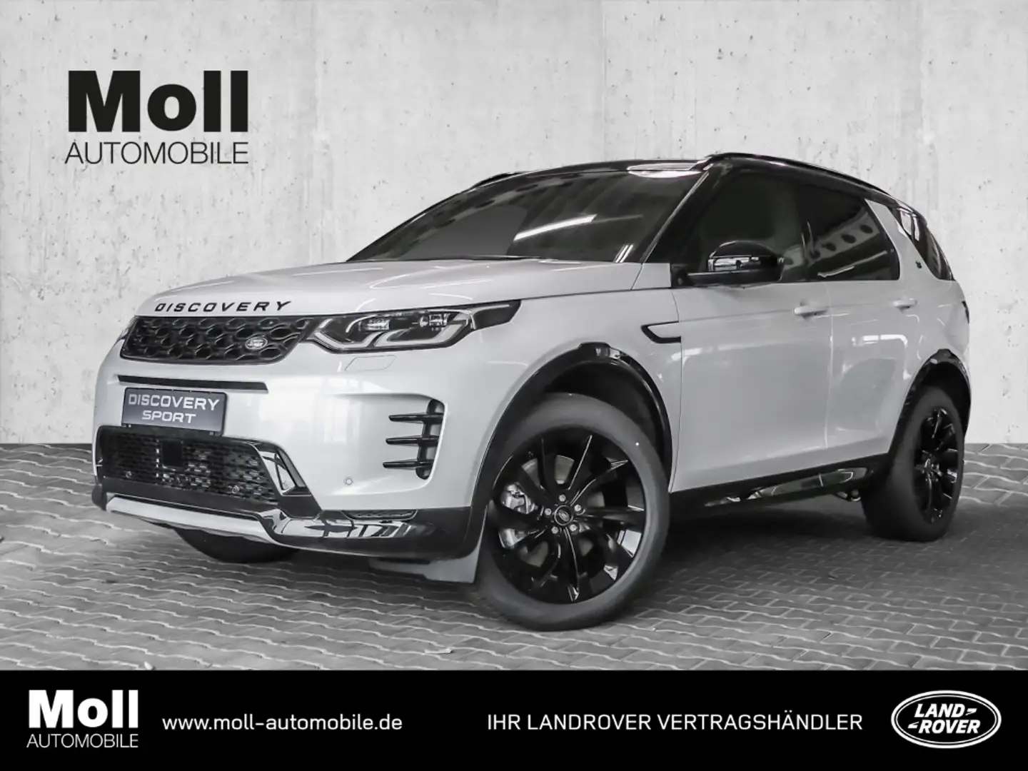 Land Rover Discovery Sport Dynamic SE AWD P250 HUD StandHZG AHK-el. klappb. P Biały - 1