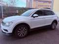 Volkswagen Tiguan Tiguan 1.6 tdi Style 115cv Bianco - thumbnail 13