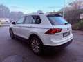 Volkswagen Tiguan Tiguan 1.6 tdi Style 115cv Bianco - thumbnail 14