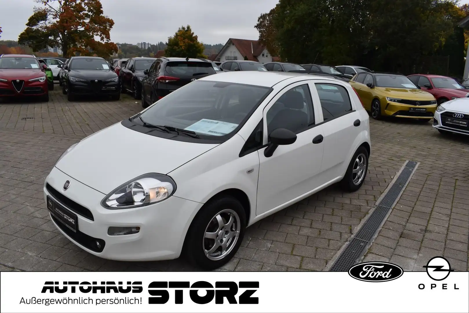 Fiat Punto Basis |KLIMA|8-FACH|GARANTIE| Weiß - 1
