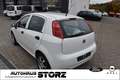 Fiat Punto Basis |KLIMA|8-FACH|GARANTIE| Weiß - thumbnail 4