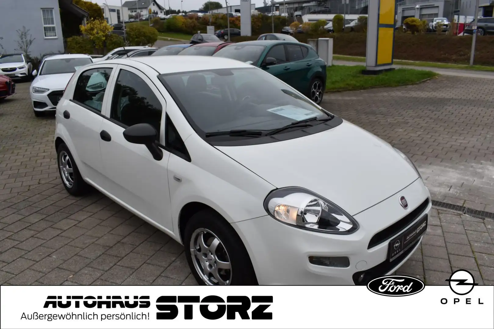 Fiat Punto Basis |KLIMA|8-FACH|GARANTIE| Weiß - 2