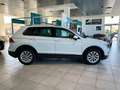 Volkswagen Tiguan 2.0 TDI 150CV Business BMT 36 MESI DI GARANZIA Blanc - thumbnail 3