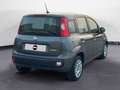 Fiat New Panda 1.0 FireFly Hybrid City Life Grau - thumbnail 5