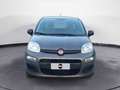 Fiat New Panda 1.0 FireFly Hybrid City Life Grau - thumbnail 8