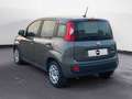 Fiat New Panda 1.0 FireFly Hybrid City Life Grau - thumbnail 3