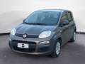 Fiat New Panda 1.0 FireFly Hybrid City Life Grau - thumbnail 1