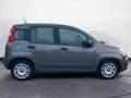 Fiat New Panda 1.0 FireFly Hybrid City Life Grau - thumbnail 6
