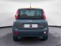 Fiat New Panda 1.0 FireFly Hybrid City Life Grau - thumbnail 4