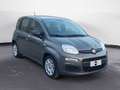 Fiat New Panda 1.0 FireFly Hybrid City Life Grau - thumbnail 7