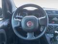 Fiat New Panda 1.0 FireFly Hybrid City Life Grau - thumbnail 12
