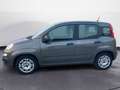 Fiat New Panda 1.0 FireFly Hybrid City Life Grau - thumbnail 2