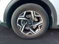 Kia Sportage 1.6 TGDi MHEV Business Grigio - thumbnail 15