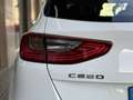 Kia Ceed / cee'd 1.0 T-GDI Eco-Dynamics Drive 120 Blanc - thumbnail 41