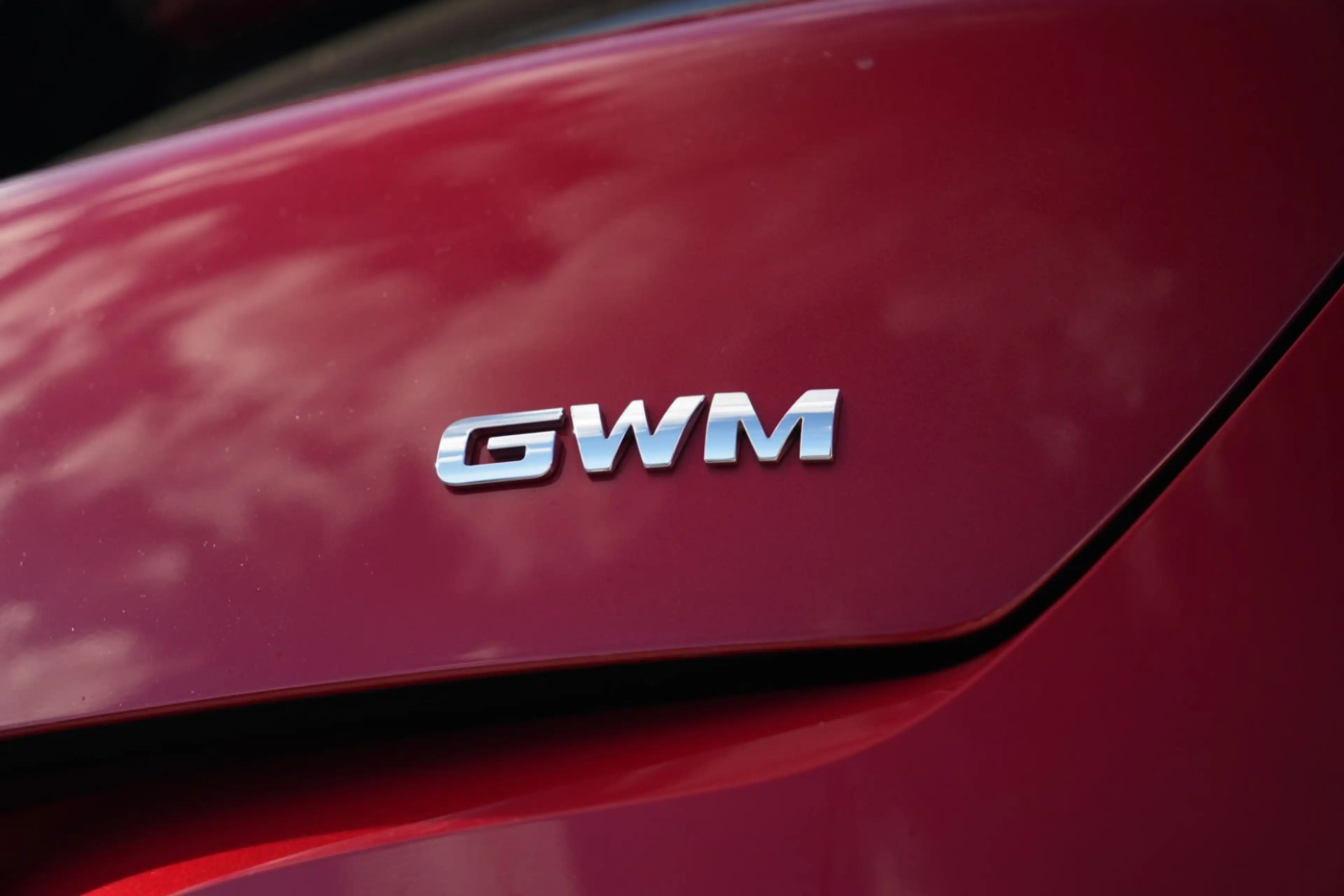 GWM Others Funky Cat 03 126 kW 300 Pro/1.HAND/KAMERA/NAVI — photo 43