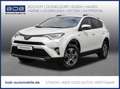 Toyota RAV 4 Edition S Hybrid NAVI ACC SHZ AHK Bílá - thumbnail 1