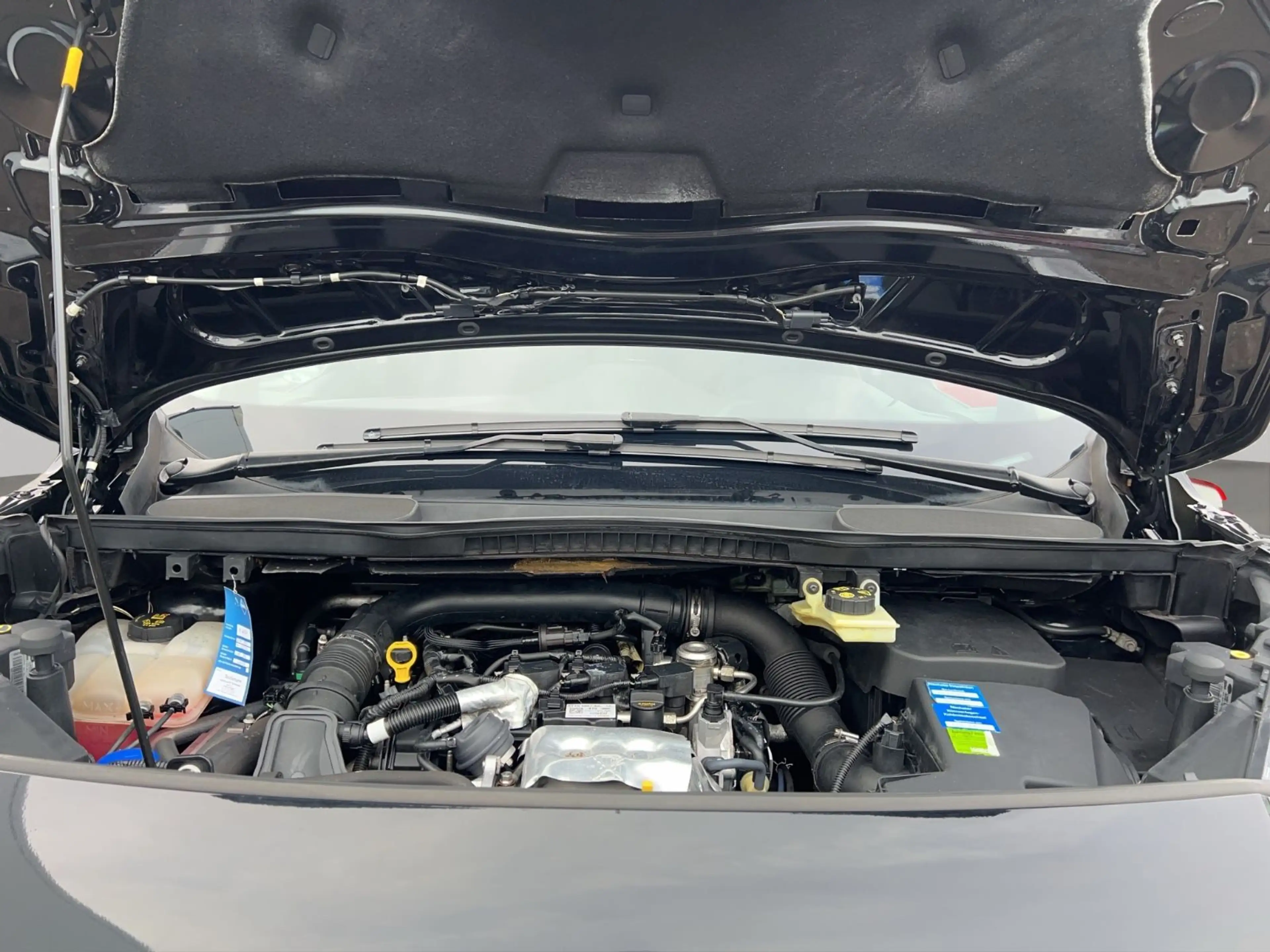 Ford Tourneo Connect Titanium /ZAHNRIEMEN NEU — photo 9