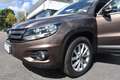 Volkswagen Tiguan Track & Style 4Motion AUTOMATIK*AHK*ZAHNRIEMEN Braun - thumbnail 23
