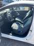 Ford Ka/Ka+ Trend Alb - thumbnail 8