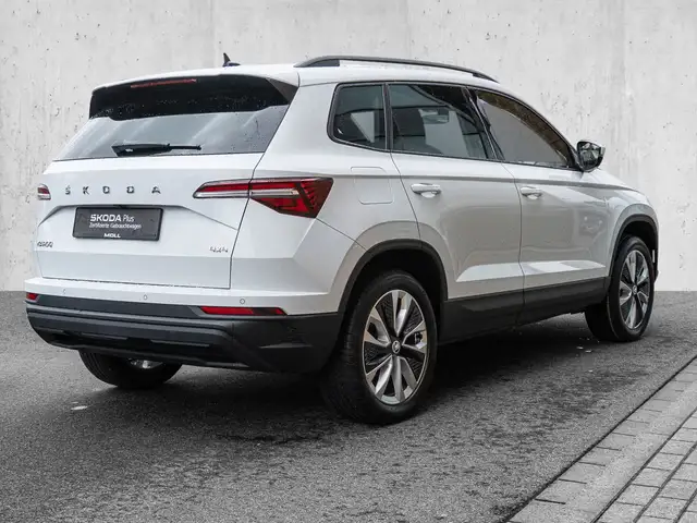 Skoda Karoq view 4