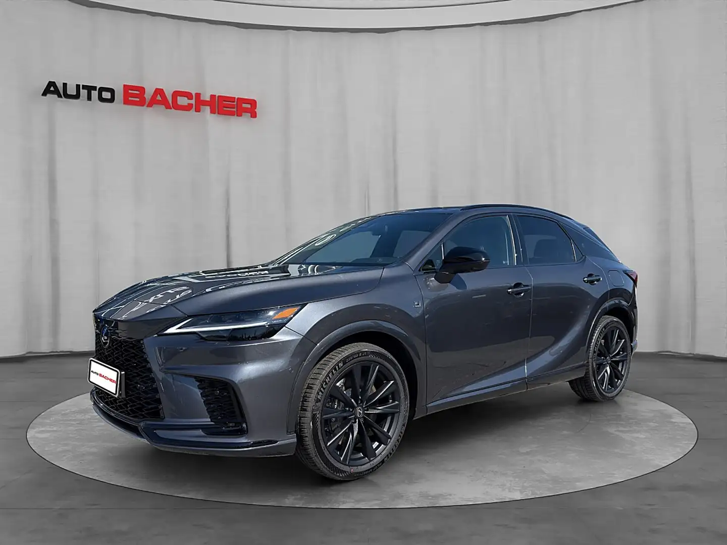 Lexus RX 500h F-Sport+ 371 PS Allrad Grau - 1