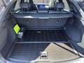 Lexus RX 500h F-Sport+ 371 PS Allrad Grau - thumbnail 8