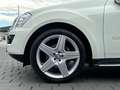 Mercedes-Benz ML 350 4Matic 7G-Tronic AMG Line | Schiebedach White - thumbnail 9