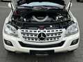 Mercedes-Benz ML 350 4Matic 7G-Tronic AMG Line | Schiebedach Wit - thumbnail 6