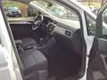 Volkswagen Touran 1.5TSI Move DSG R-Line Pano AHK 7-Sitzer Wit - thumbnail 13