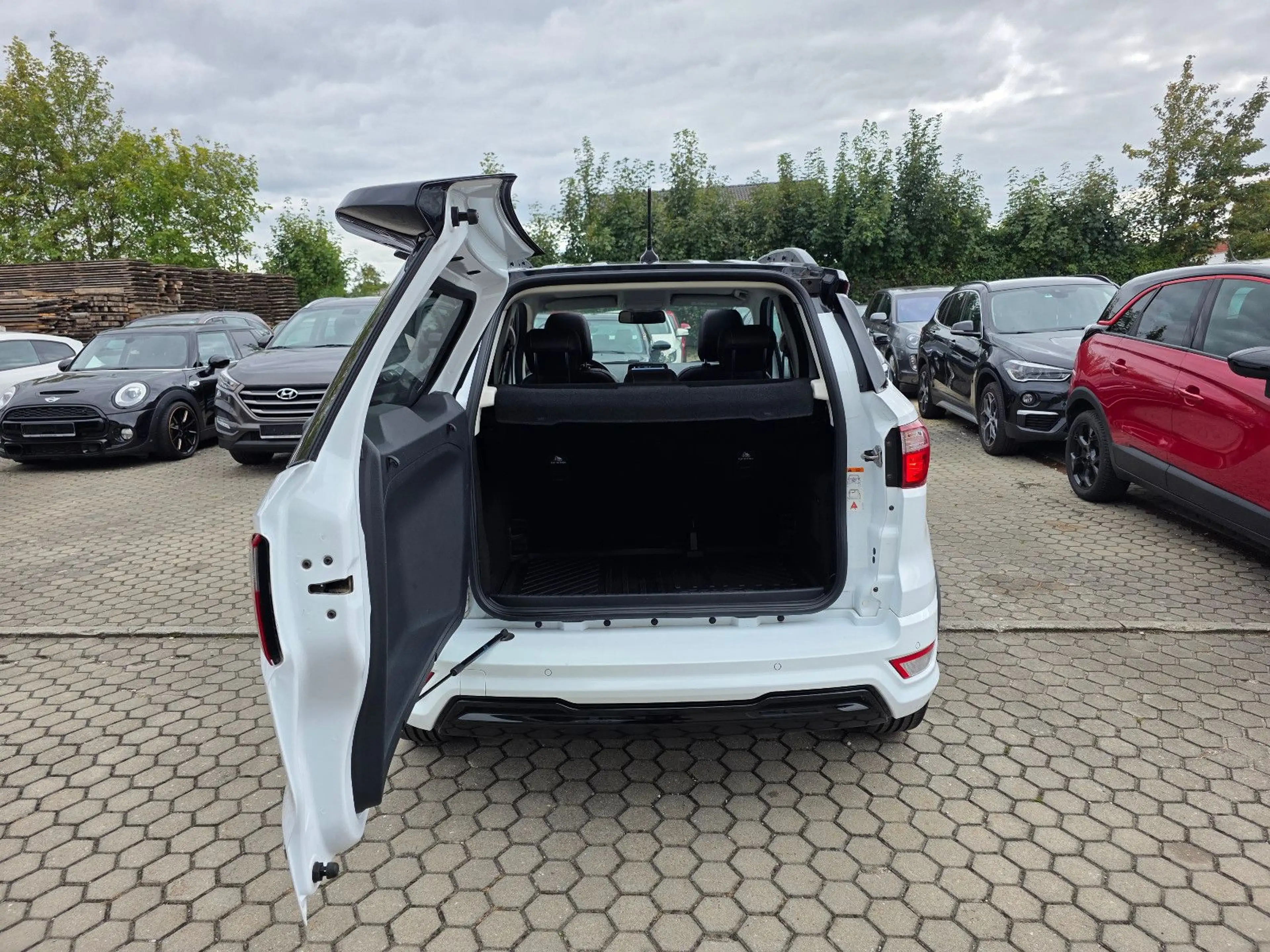 Ford EcoSport ST-Line — photo 5