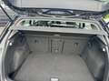 Volkswagen Golf Golf 1.0 etsi evo Life 110cv dsg Nero - thumbnail 9