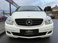 Mercedes-Benz B 180 CDI Aut. **KREDIT*LEDER*AUTOMATIK* Blanc - thumbnail 3