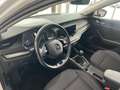 Skoda Octavia 2.0 TDI DPF Business (EURO 6d-TEMP) Weiß - thumbnail 10