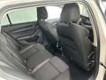 Skoda Octavia 2.0 TDI DPF Business (EURO 6d-TEMP) Weiß - thumbnail 15