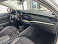 Skoda Octavia 2.0 TDI DPF Business (EURO 6d-TEMP) Weiß - thumbnail 17