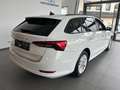 Skoda Octavia 2.0 TDI DPF Business (EURO 6d-TEMP) Weiß - thumbnail 5