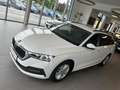 Skoda Octavia 2.0 TDI DPF Business (EURO 6d-TEMP) Weiß - thumbnail 9