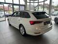 Skoda Octavia 2.0 TDI DPF Business (EURO 6d-TEMP) Weiß - thumbnail 7