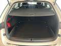 Skoda Octavia 2.0 TDI DPF Business (EURO 6d-TEMP) Weiß - thumbnail 14
