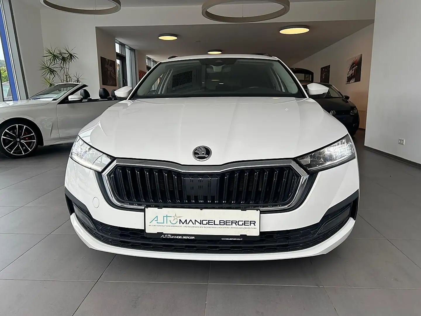 Skoda Octavia 2.0 TDI DPF Business (EURO 6d-TEMP) Weiß - 2