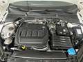 Skoda Octavia 2.0 TDI DPF Business (EURO 6d-TEMP) Weiß - thumbnail 19