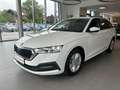 Skoda Octavia 2.0 TDI DPF Business (EURO 6d-TEMP) Weiß - thumbnail 8