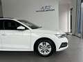 Skoda Octavia 2.0 TDI DPF Business (EURO 6d-TEMP) Weiß - thumbnail 3