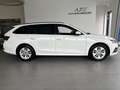 Skoda Octavia 2.0 TDI DPF Business (EURO 6d-TEMP) Weiß - thumbnail 4