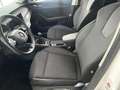 Skoda Octavia 2.0 TDI DPF Business (EURO 6d-TEMP) Weiß - thumbnail 11