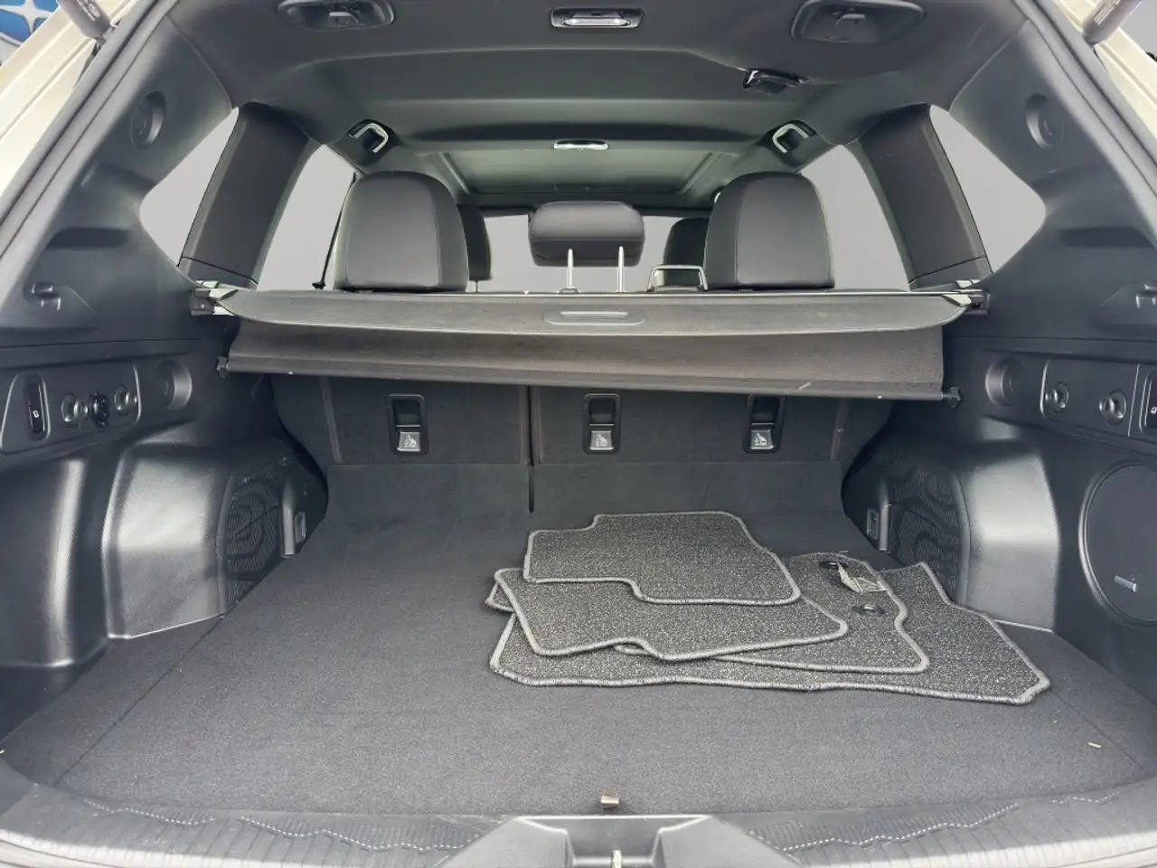 Subaru Forester fotografie Subaru Forester