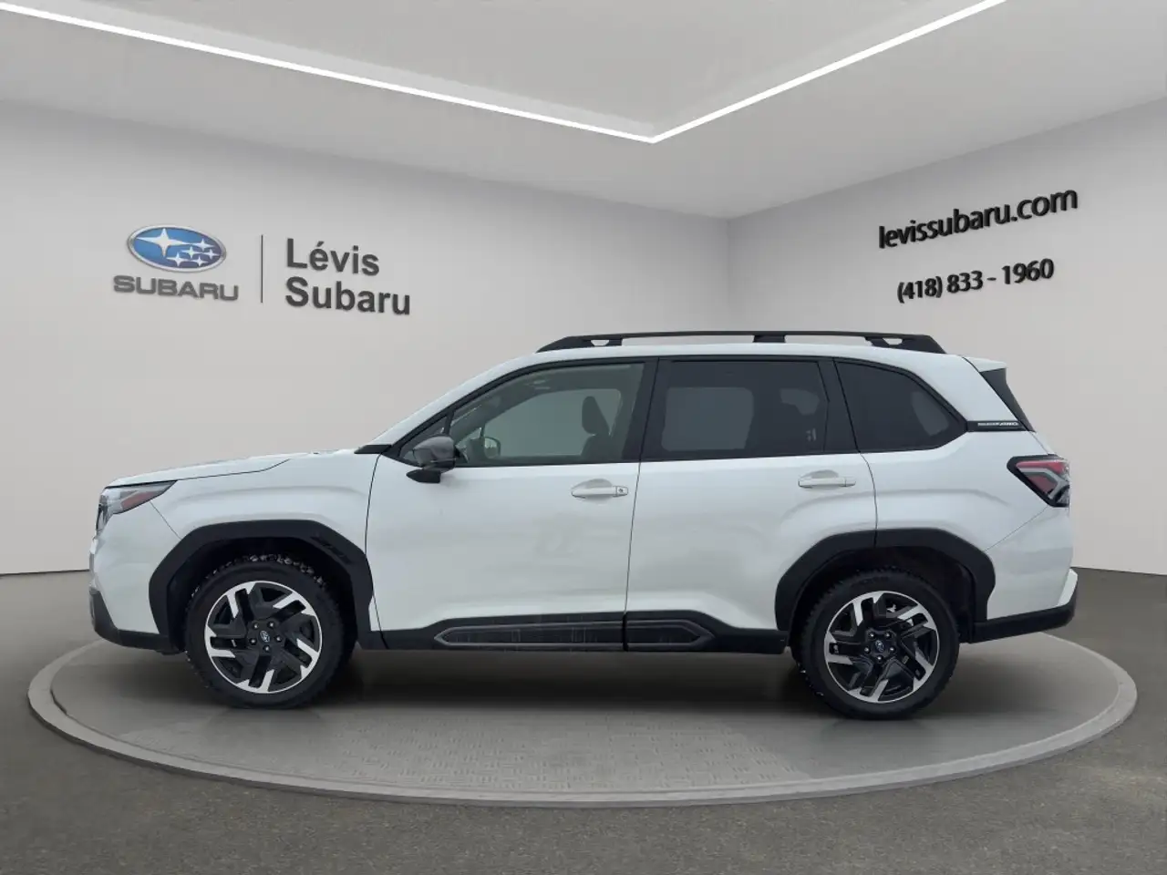 Subaru Forester fotografie Subaru Forester