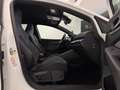 Volkswagen Golf 2.0 TSI R DSG 4Motion 245kW Blanco - thumbnail 31